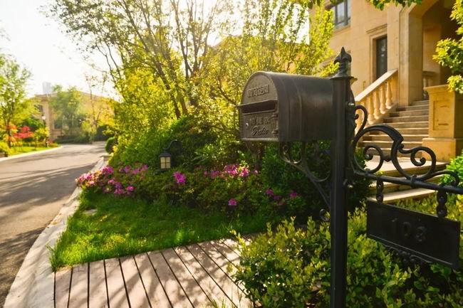 5月的国宝，享受初夏的惬意时光